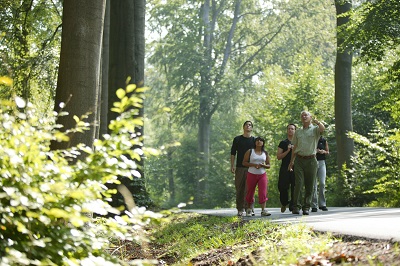 Forêt domaniale Raismes-Saint-Amand-Wallers