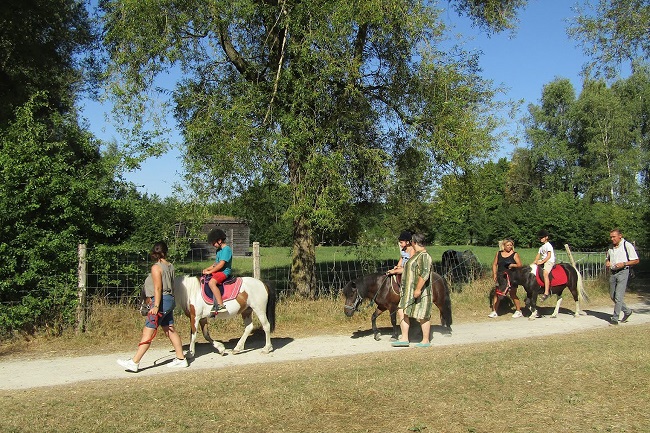 Balade à poney au Parc de La Porte du Hainaut à Raismes