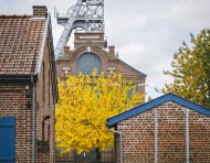 Visite guidée et déjeuner "Du Carreau au Carô" au site minier d’Arenberg
