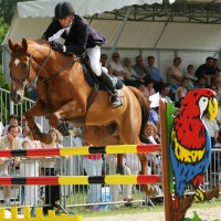 Concours hippique Saint-Amand-les-Eaux © Samuel Dhote
