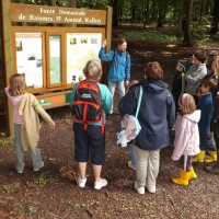 Visite guidée Promenons nous dans les bois © OT Porte du Hainaut