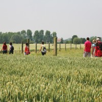 Randonnée pédestre en campagne amandinoise © OT Porte du Hainaut