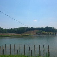 Tyrolienne au Parc de La Porte du Hainaut à Raismes © Nord Tourisme
