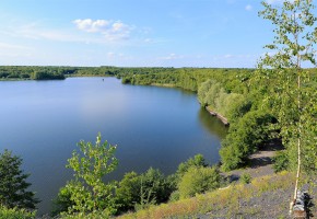 Le Festival de l’Oiseau et de la Nature est de retour en avril