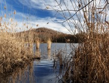 En février, La Porte du Hainaut vous invite à découvrir ses zones humides et ses trésors