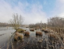 Février à La Porte du Hainaut : découvrez les zones humides et leurs trésors