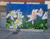 Street art à Denain : un musée à ciel ouvert
