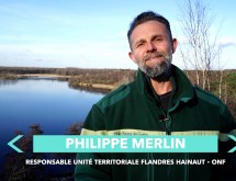 [J’❤️ La Porte du Hainaut] Mare à Goriaux à Raismes et Trouée d'Arenberg à Wallers