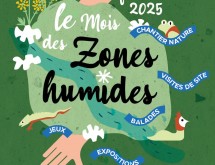 Février, le mois des zones humides
