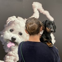 Visite canine de l'expo Mytho / Robin Lopvet