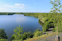 |Festival de l'Oiseau| La Mare à Goriaux de Raismes