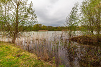 Sortie nature Faune et Flore au Parc Loisirs et Nature