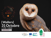 |JF| À la découverte des animaux de la nuit