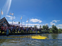 Les canards déchaînés de la Scarpe