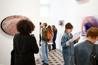 Exposition "Soleils mineurs" au CRP/