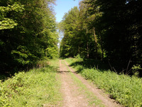Sortie nature en forêt – Départ des Thermes