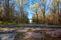 |Festival de l'Oiseau| La Trouée d’Arenberg : entre nature et légende
