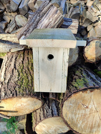 |Festival de l'oiseau| Un nichoir pour la nature