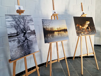 |Zones humides| Exposition photo