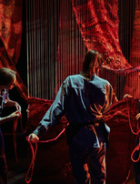 |Spectacle| Dancing familia