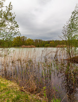 |Festival de l'Oiseau| Secrets des étangs et de la faune sauvage