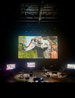 |Spectacle| Mémoires d'éléphant