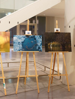 |Zones humides| Exposition photo