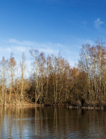|Zones humides| Randonnée autour des plans d'eau du site minier de Sabatier