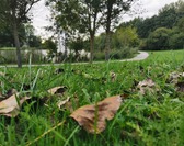 [Atelier Nature] Au Parc Loisirs et Nature de La Porte du Hainaut