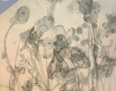 |Exposition| Arracher ses épines / École d'Art, de Théâtre et de Danse de Mortagne-du-Nord