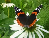 [Ateliers Nature/Jeune Public] Au Parc Loisirs et Nature de La Porte du Hainaut