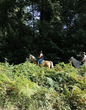 Rallye_Equestre_Raismes_Dim9avril23_Fb.jpg