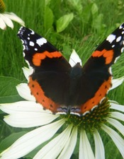 Atelier nature.jpg