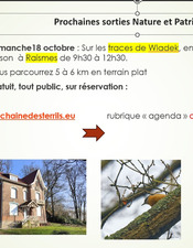 Sortie_Nature_Patrimoine_CPIE_Pinson_Dim18oct2026.jpg
