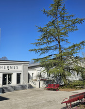 Thermes_Foret_Fil_Objectif_JEP_19-20sept26 © Office de Tourisme de La Porte du Hainaut.jpg