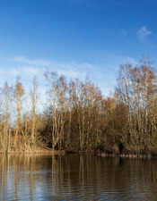 Site Sabatier - Raismes - © Ludovic Debomy.jpg