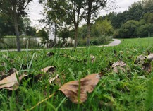 [Atelier Nature] Au Parc Loisirs et Nature de La Porte du Hainaut - Raismes