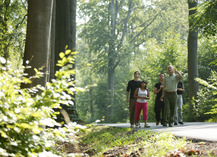 Forêt domaniale de Raismes-Saint-Amand-Wallers - Saint-Amand-les-Eaux
