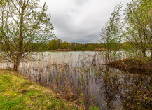 |Festival de l'Oiseau| Secrets des étangs et de la faune sauvage - Raismes