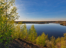 |Festival de l'Oiseau| Paradis des oiseaux à la Mare à Goriaux - Raismes