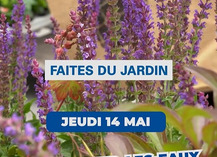La Faîtes du jardin - Saint-Amand-les-Eaux