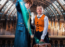 |JF| Spectacle de magie “Les aventures Fantastiques” - Denain