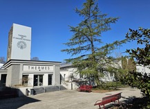 |JEP| Thermes et forêt au fil de l’objectif - Saint-Amand-les-Eaux