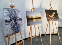 |Zones humides| Exposition photo - Raismes