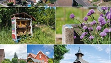 [Printemps des cités-jardins] Visite Guidée de la cité-jardin du Pinson