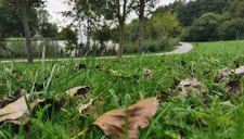 [Atelier Nature] Au Parc Loisirs et Nature de La Porte du Hainaut
