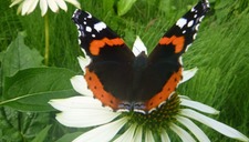 [Ateliers Nature/Jeune Public] Au Parc Loisirs et Nature de La Porte du Hainaut