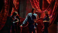 |Spectacle| Dancing familia