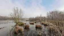 |Zones humides| Visite guidée faune et flore
