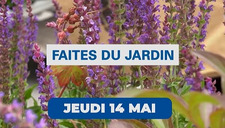La Faîtes du jardin
